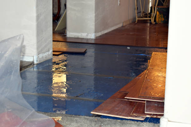 Professional Flood Damage Restoration technician working in Dixon, IL